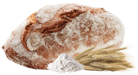 Bread